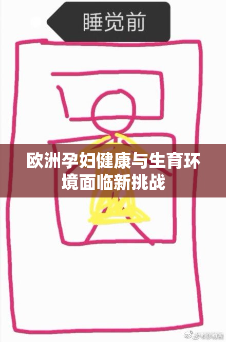 欧洲孕妇健康与生育环境面临新挑战
