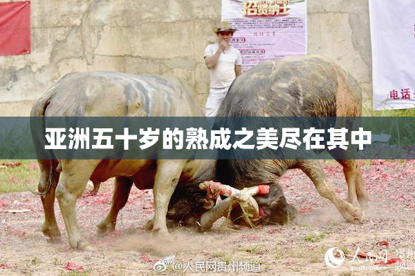 亚洲五十岁的熟成之美尽在其中
