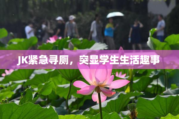 JK紧急寻厕，突显学生生活趣事