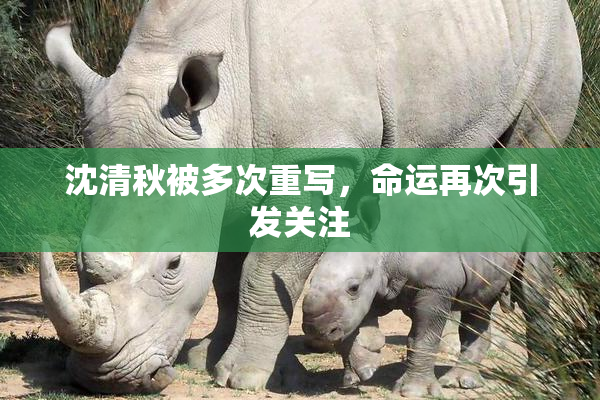沈清秋被多次重写，命运再次引发关注