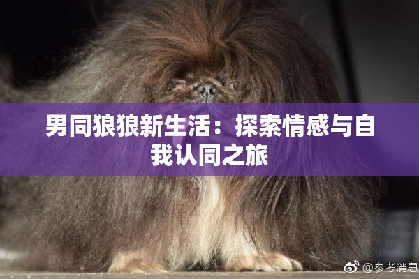 男同狼狼新生活：探索情感与自我认同之旅