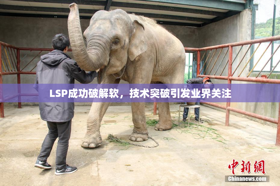 LSP成功破解软，技术突破引发业界关注