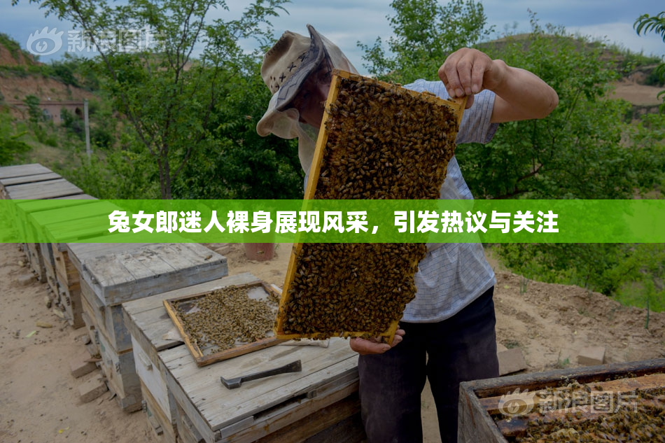 兔女郎迷人裸身展现风采，引发热议与关注