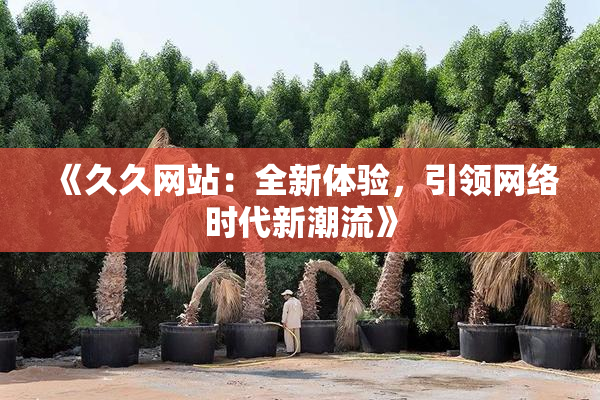 《久久网站：全新体验，引领网络时代新潮流》