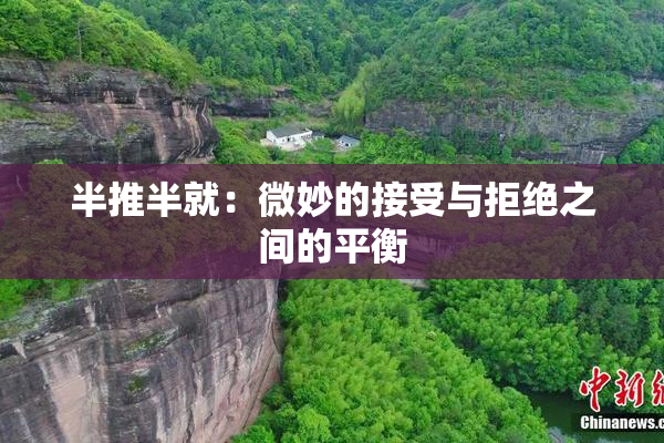 半推半就：微妙的接受与拒绝之间的平衡