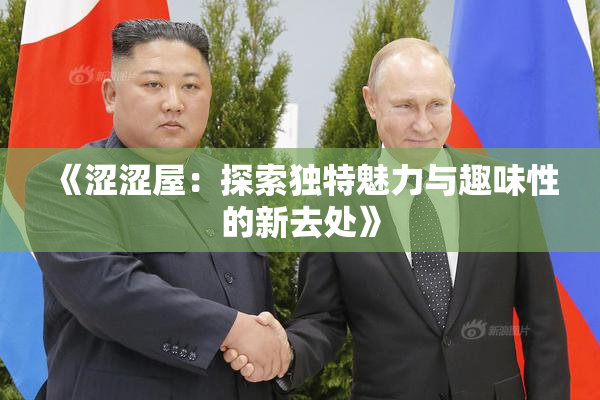 《涩涩屋：探索独特魅力与趣味性的新去处》