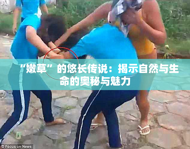 “嫩草”的悠长传说：揭示自然与生命的奥秘与魅力