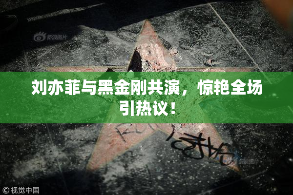 刘亦菲与黑金刚共演，惊艳全场引热议！