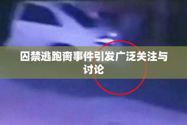 囚禁逃跑脔事件引发广泛关注与讨论