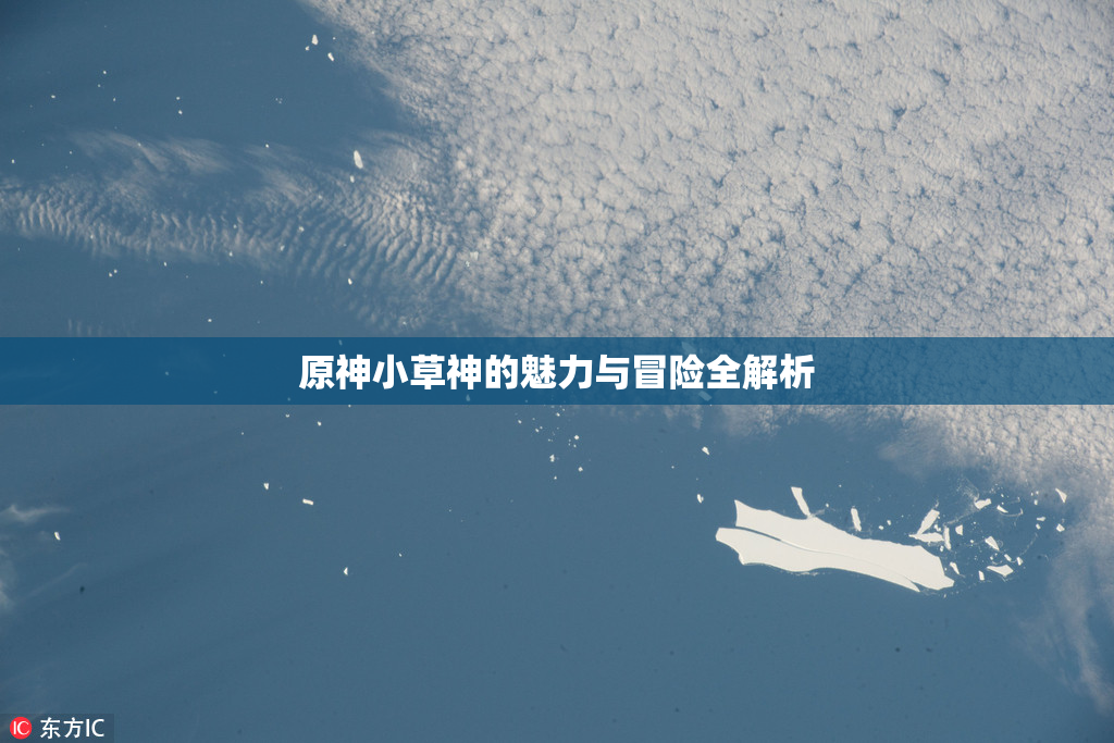 原神小草神的魅力与冒险全解析