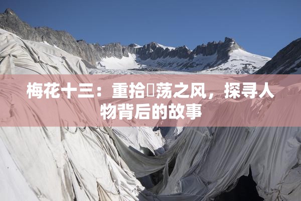 梅花十三：重拾婬荡之风，探寻人物背后的故事