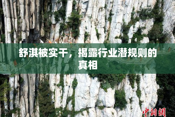 舒淇被实干，揭露行业潜规则的真相