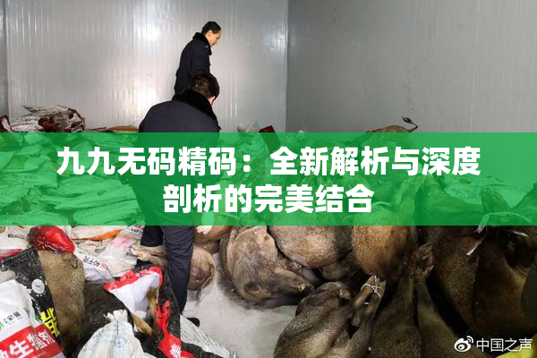九九无码精码：全新解析与深度剖析的完美结合