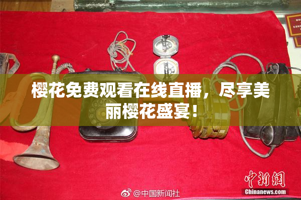 樱花免费观看在线直播，尽享美丽樱花盛宴！