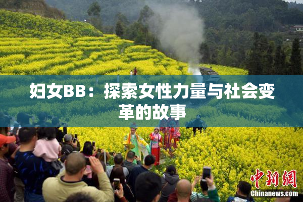 妇女BB：探索女性力量与社会变革的故事