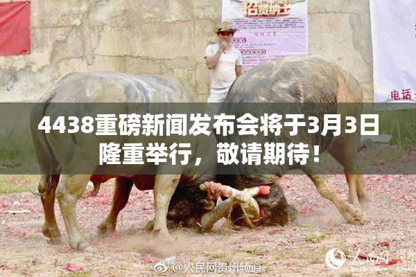 4438重磅新闻发布会将于3月3日隆重举行，敬请期待！