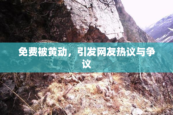 免费被黄动，引发网友热议与争议