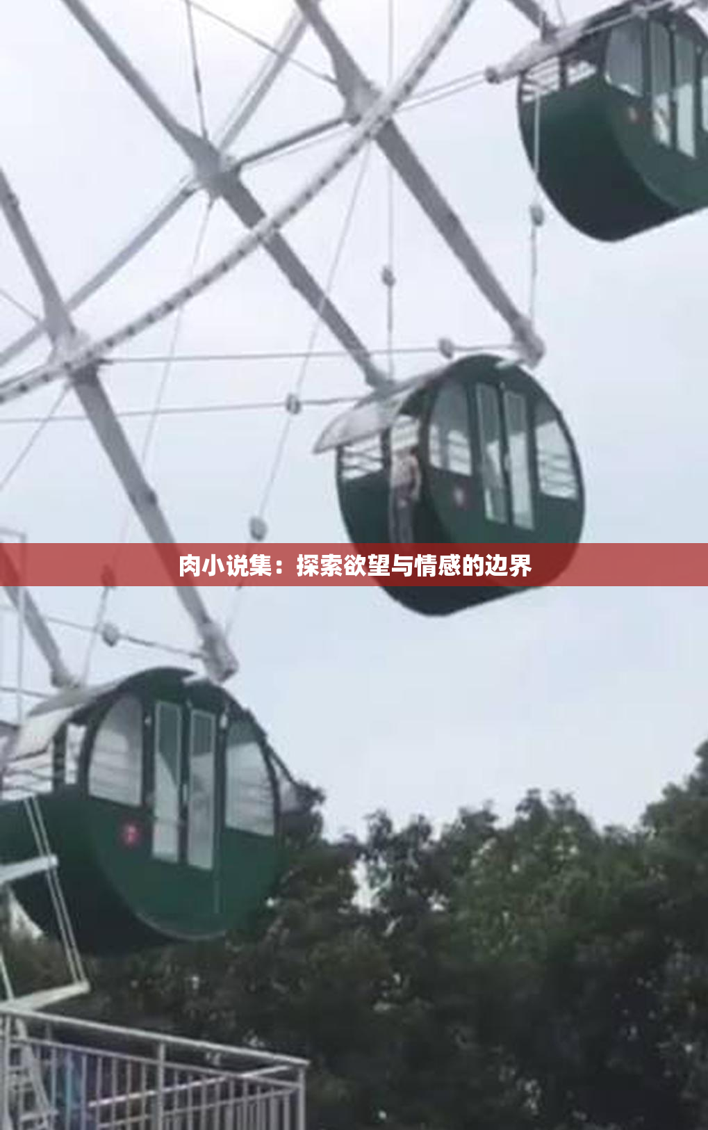 肉小说集：探索欲望与情感的边界
