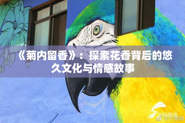 《菊内留香》：探索花香背后的悠久文化与情感故事