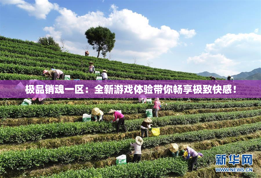 极品销魂一区：全新游戏体验带你畅享极致快感！