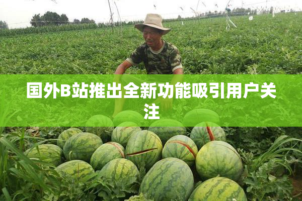 国外B站推出全新功能吸引用户关注
