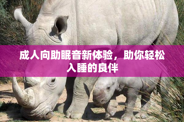 成人向助眠音新体验，助你轻松入睡的良伴