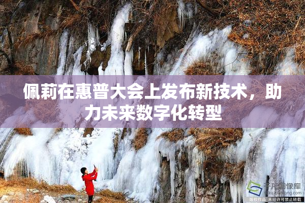 佩莉在惠普大会上发布新技术，助力未来数字化转型