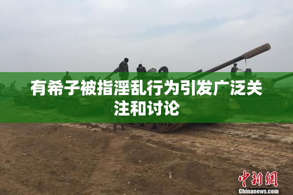 有希子被指淫乱行为引发广泛关注和讨论