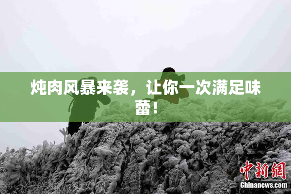 炖肉风暴来袭，让你一次满足味蕾！
