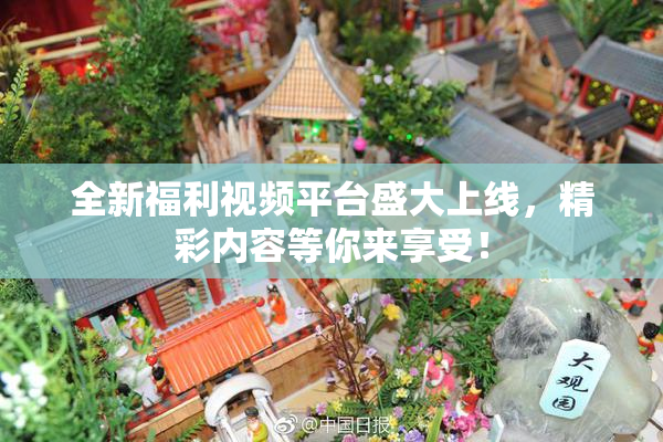 全新福利视频平台盛大上线，精彩内容等你来享受！
