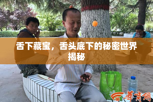 舌下藏宝，舌头底下的秘密世界揭秘