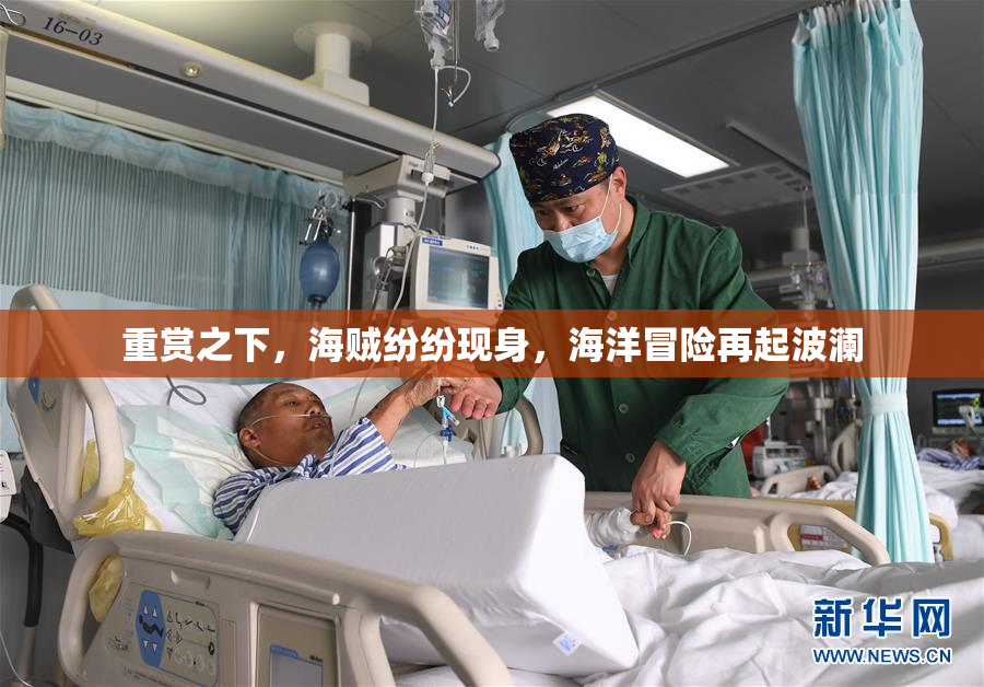 重赏之下，海贼纷纷现身，海洋冒险再起波澜