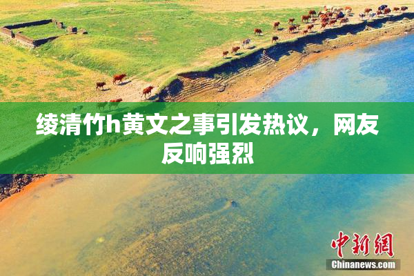 绫清竹h黄文之事引发热议，网友反响强烈