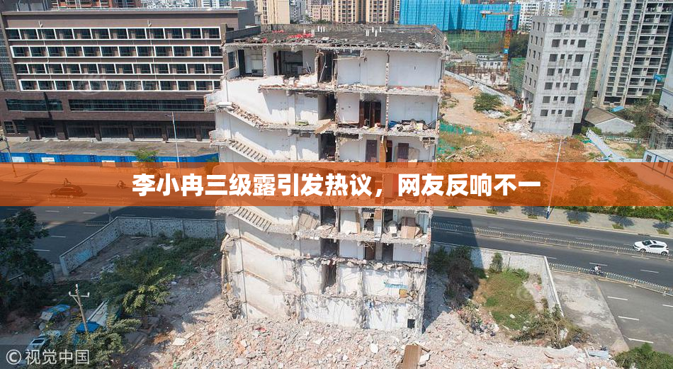 李小冉三级露引发热议，网友反响不一