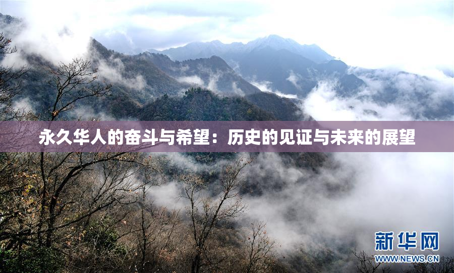 永久华人的奋斗与希望：历史的见证与未来的展望