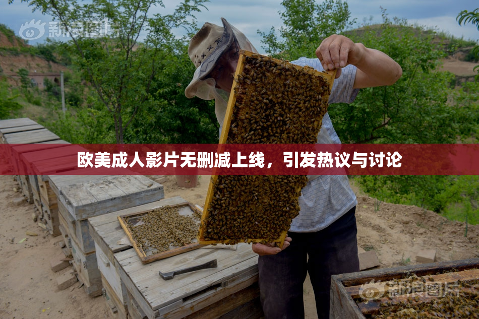 欧美成人影片无删减上线，引发热议与讨论
