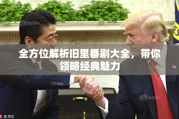 全方位解析旧里番剧大全，带你领略经典魅力