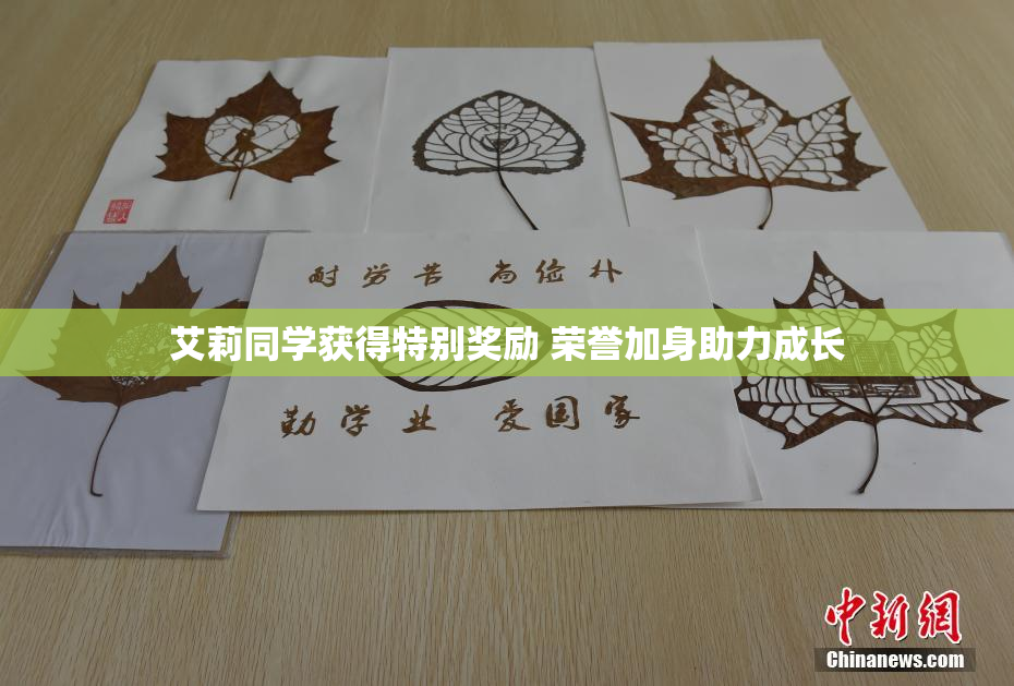 艾莉同学获得特别奖励 荣誉加身助力成长