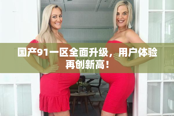 国产91一区全面升级，用户体验再创新高！
