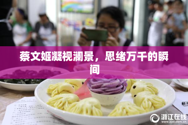 蔡文姬凝视澜景，思绪万千的瞬间