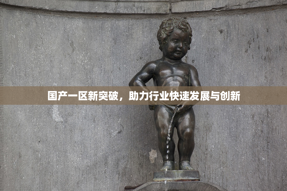 国产一区新突破，助力行业快速发展与创新