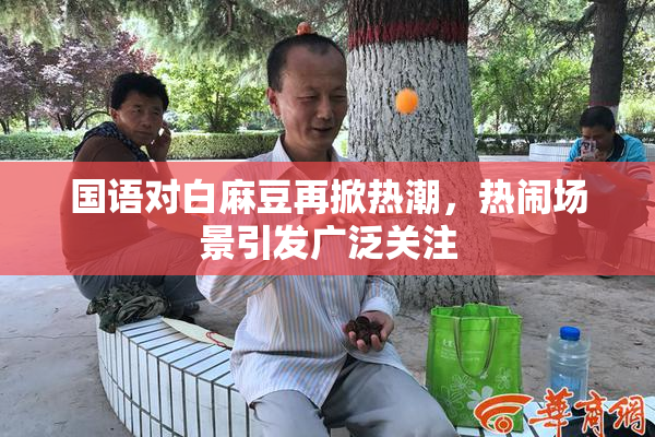 国语对白麻豆再掀热潮，热闹场景引发广泛关注