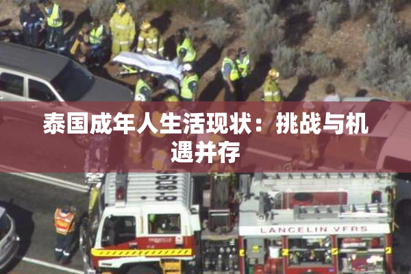 泰国成年人生活现状：挑战与机遇并存