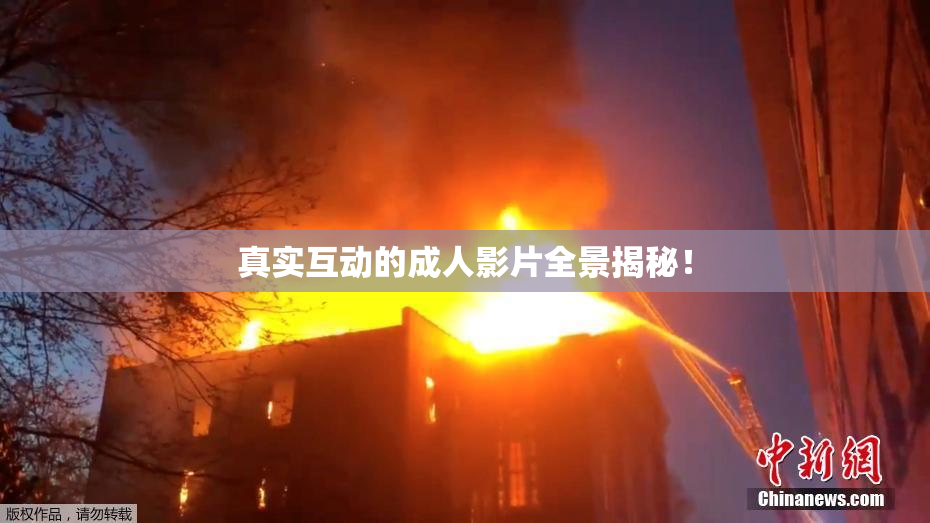真实互动的成人影片全景揭秘！