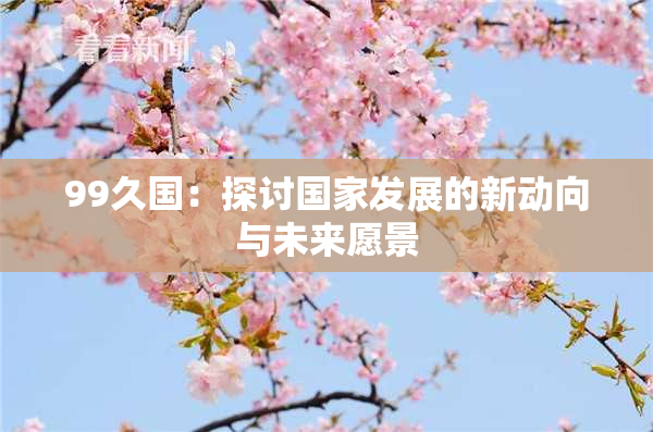 99久国：探讨国家发展的新动向与未来愿景
