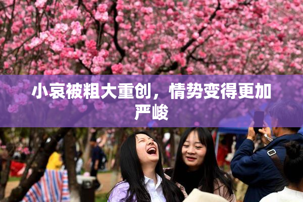 小哀被粗大重创，情势变得更加严峻