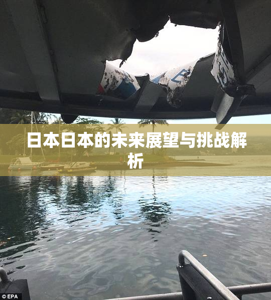 日本日本的未来展望与挑战解析