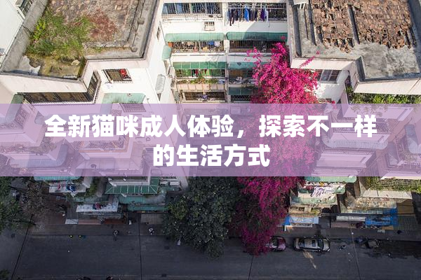 全新猫咪成人体验，探索不一样的生活方式