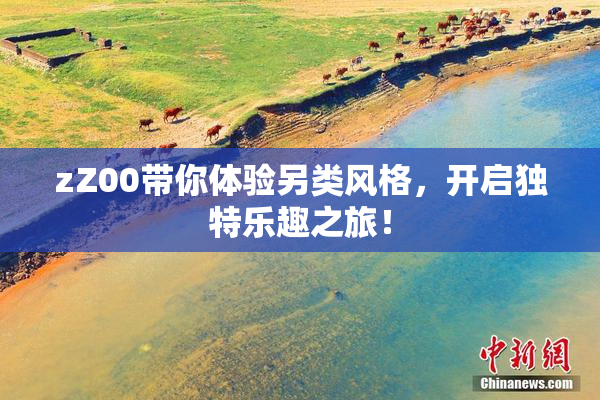 zZ00带你体验另类风格，开启独特乐趣之旅！