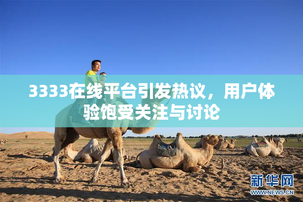 3333在线平台引发热议，用户体验饱受关注与讨论